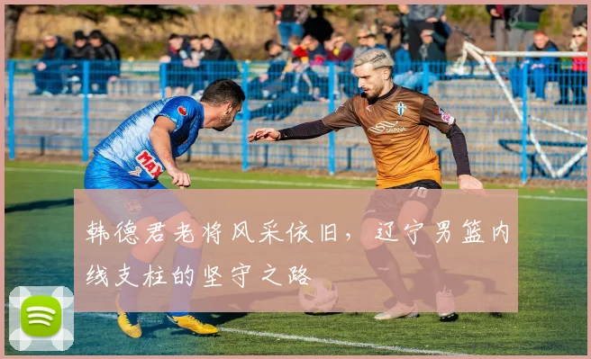 韩德君老将风采依旧,辽宁男篮内线支柱的坚守之路